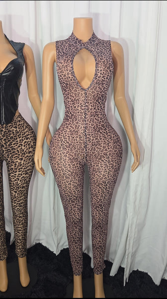 Kylie Mesh Jumpsuit