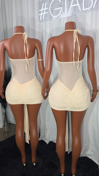 Sasha Dress