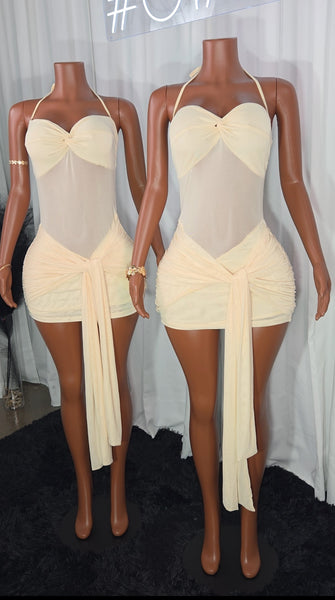 Sasha Dress